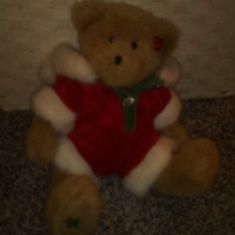 Teddy